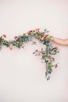 Picture for category Garland