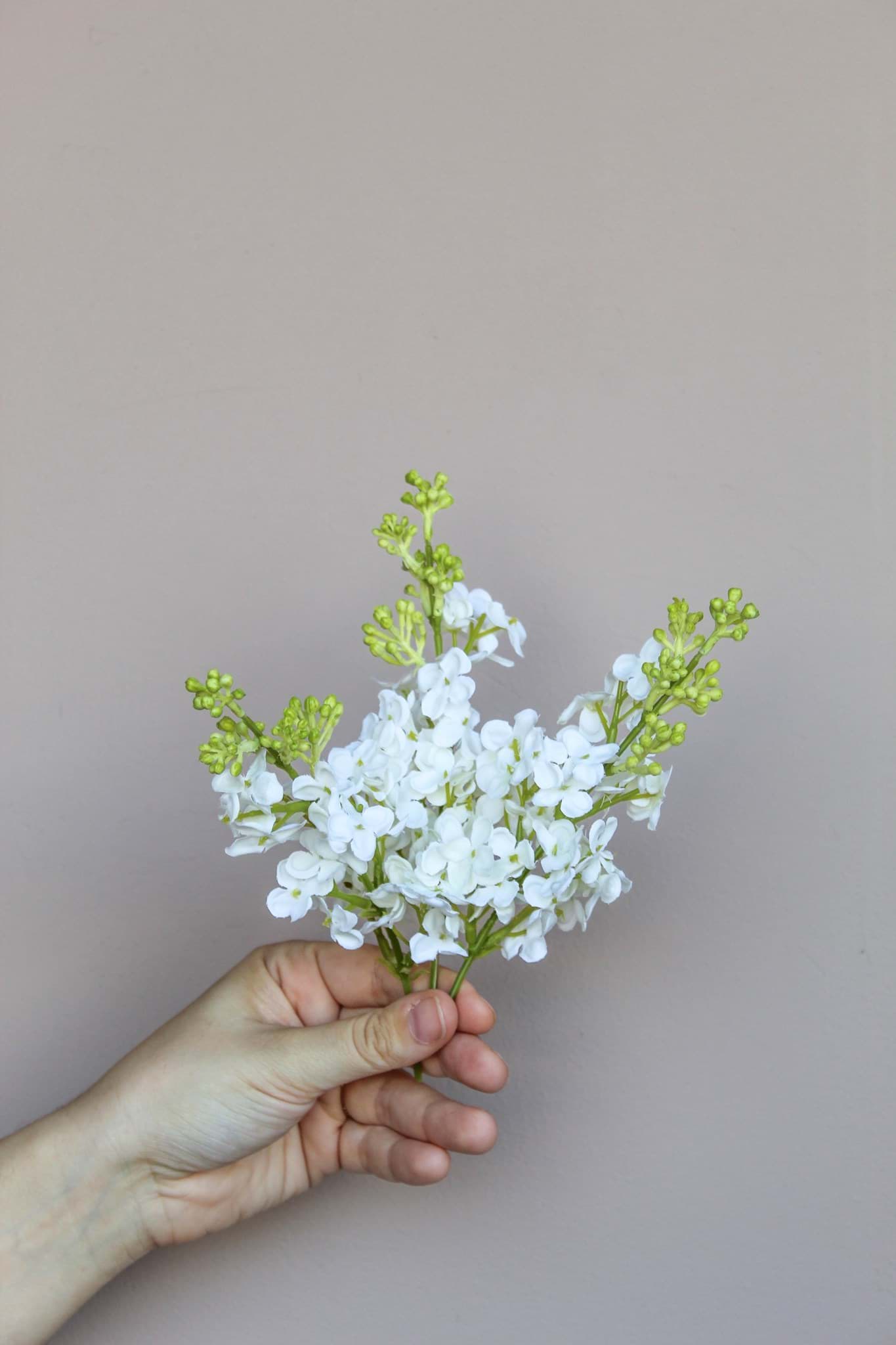 Picture of Millie Cake Cluster