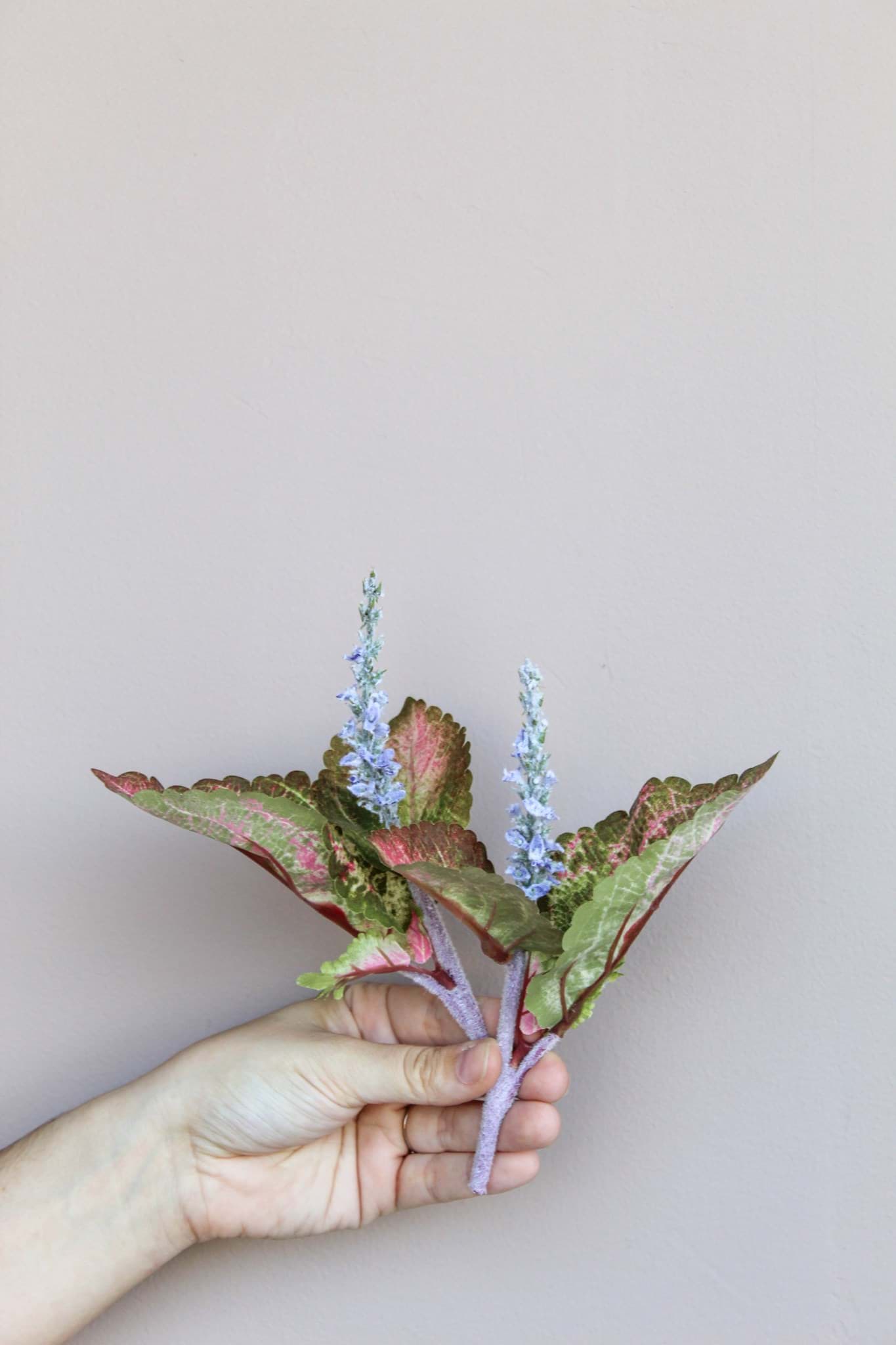 Picture of Laurel Cake Cluster