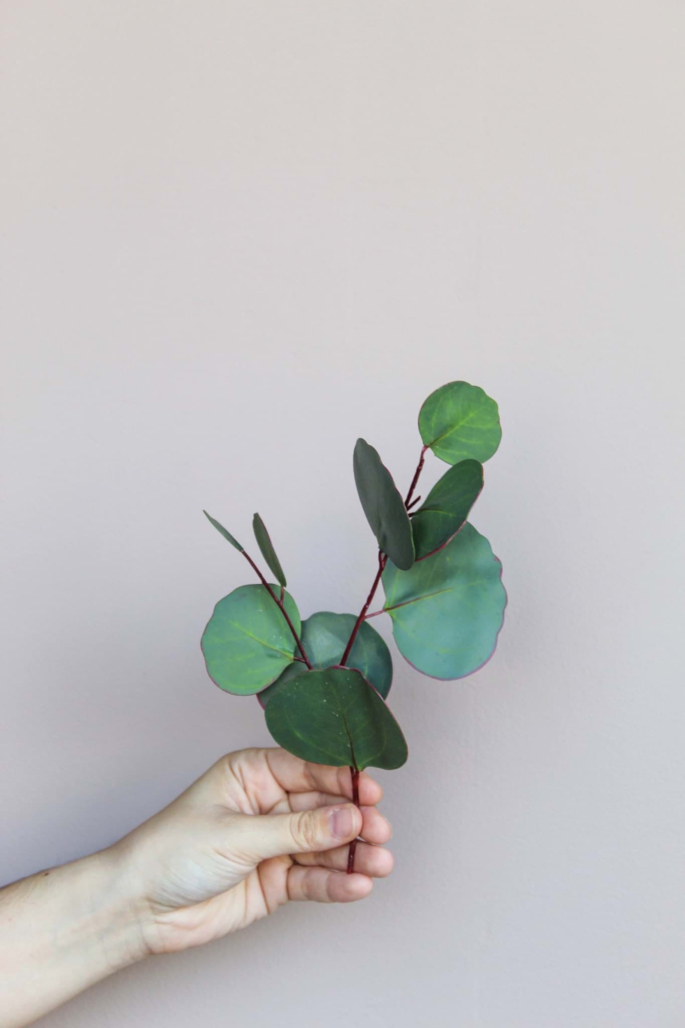 Picture of Laurel Cake Cluster