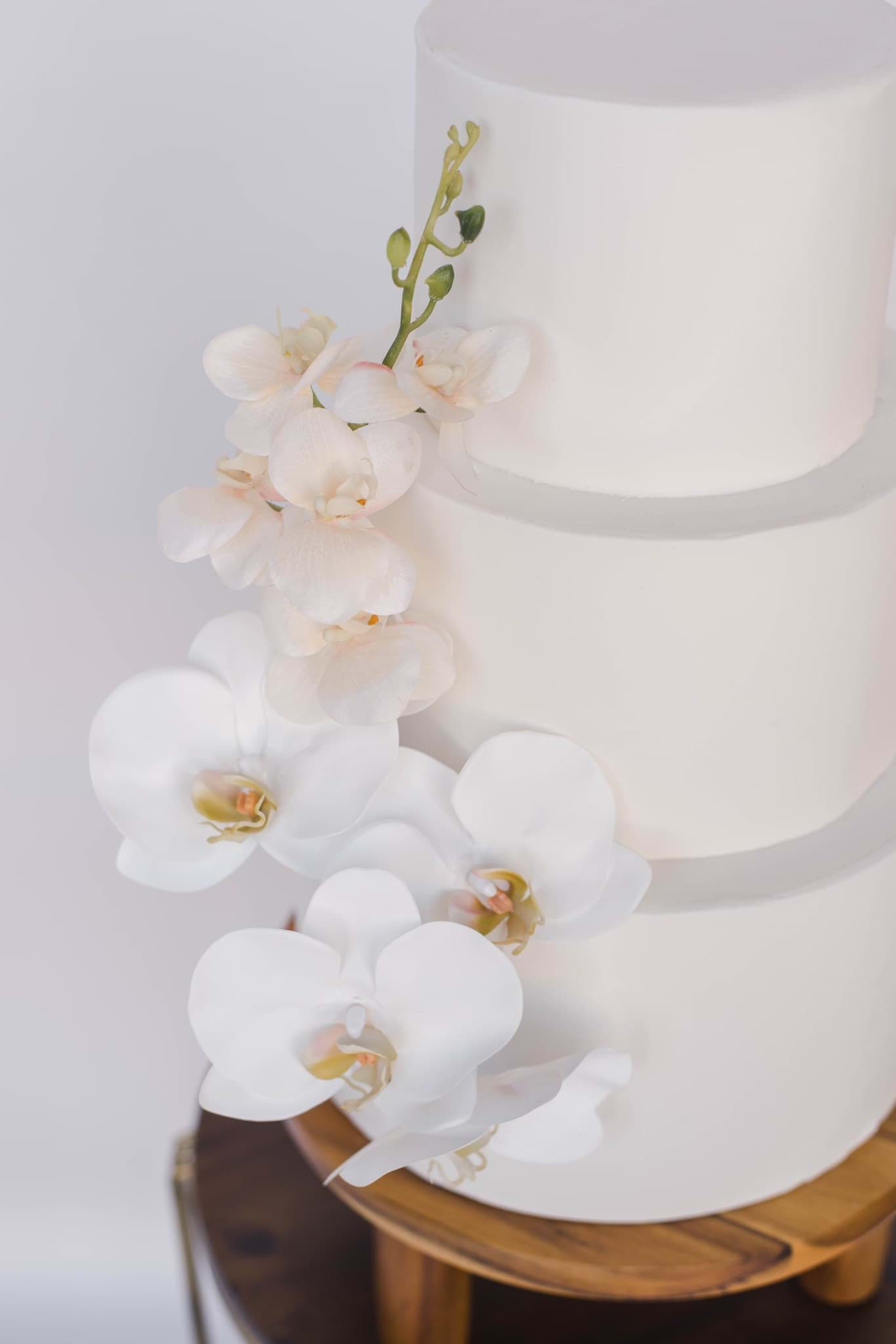 Picture of Wren Cake Cluster