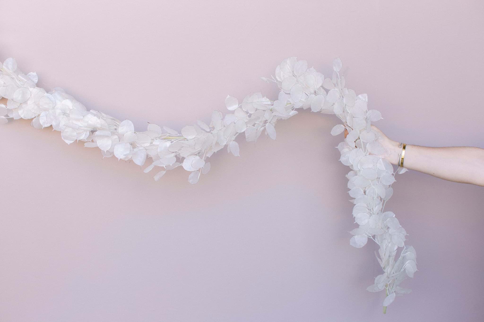 Picture of Lunaria Garland