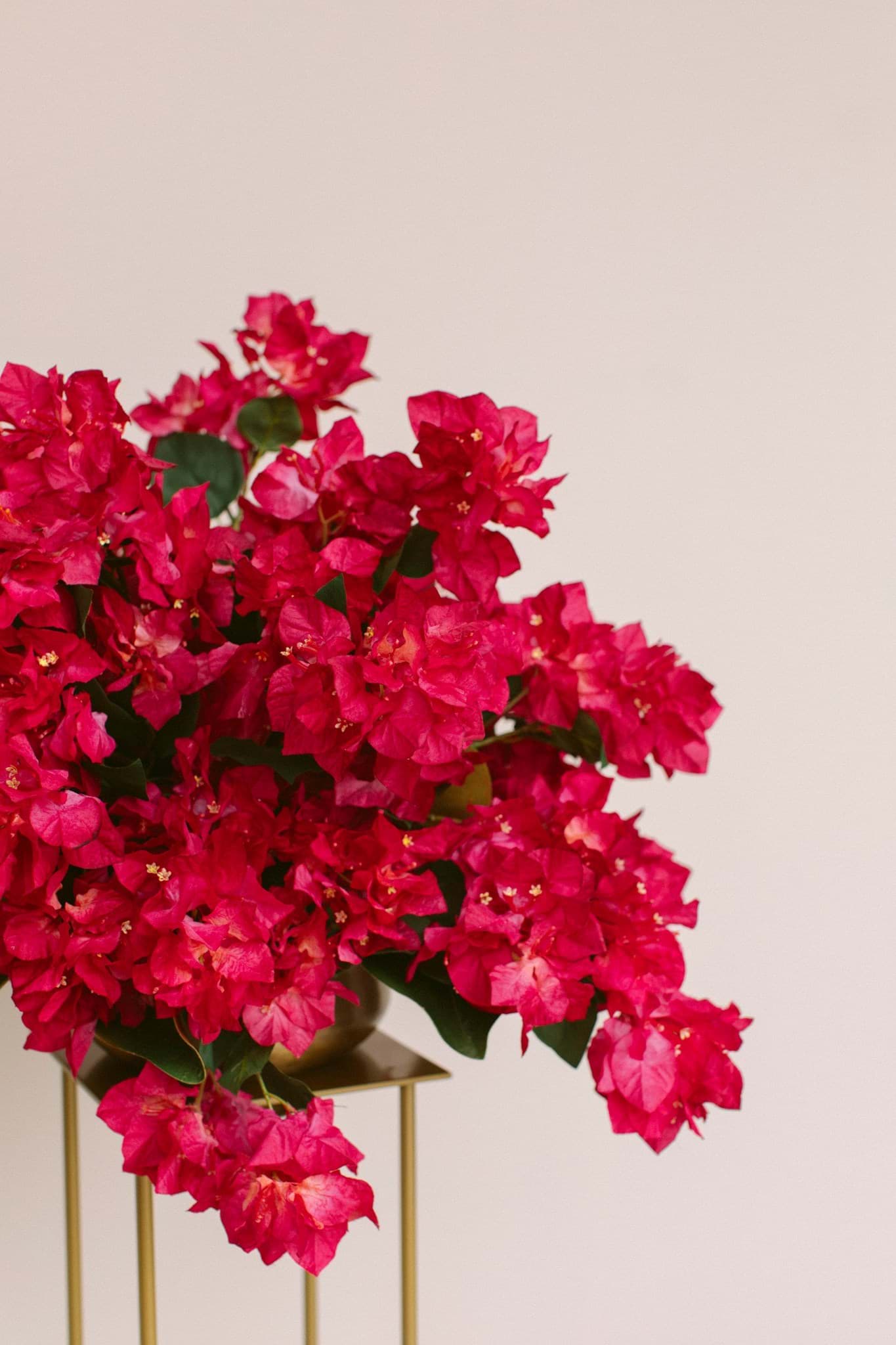 Picture of Gemma Grand Centerpiece 